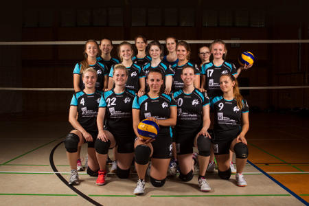 Mannschaftsfoto 7. Damen - Saison 2017/18 (Bezirksklasse)
