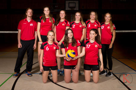 Mannschaftsfoto 6. Damen - Saison 2017/18 (Bezirksklasse)