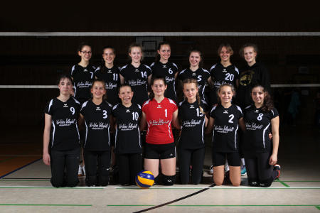 Mannschaftsfoto 9. Damen - Saison 2017/18 (Kreisliga)