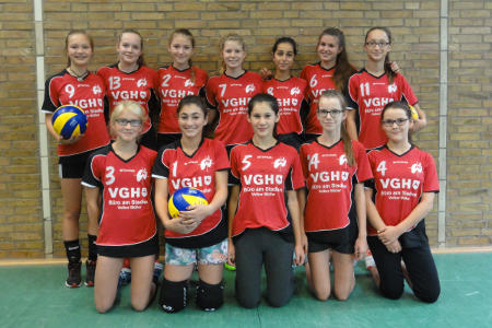 Mannschaftsfoto weibliche C-Jugend U16 - Saison 2015/16 (Jg. 2001 und jnger)